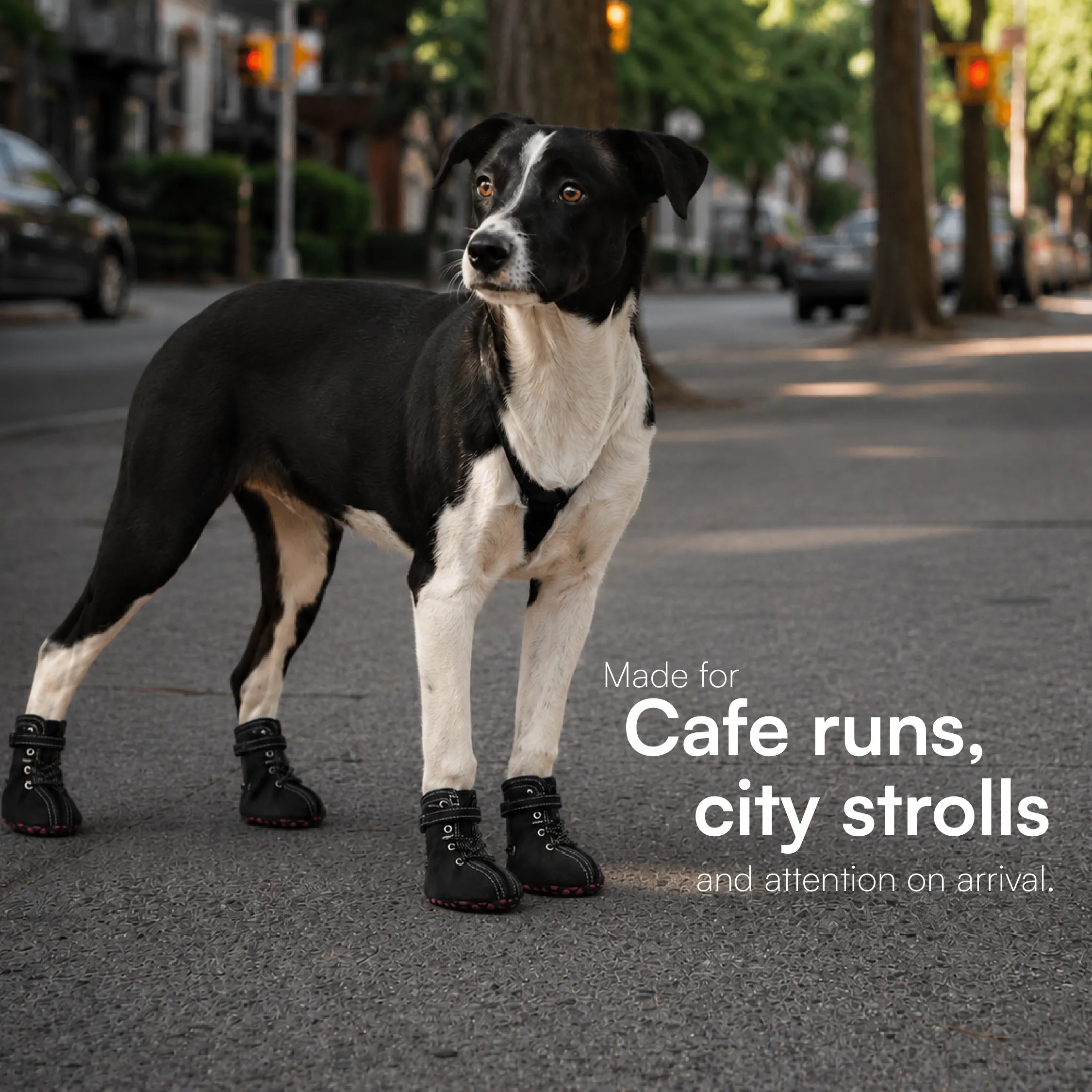 CrimsonTrail Boots – Anti-Slip Waterproof Faux Leather Paw Protector Shoes with Velcro Strap & Zip Closure