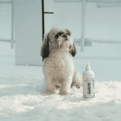 Therapeutic Aromatherapy Dog Shampoo - Tilting Heads.