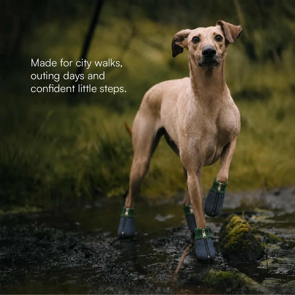 DenimDrip Boots – Warm, Stylish & Secure Paw Protection for Winter