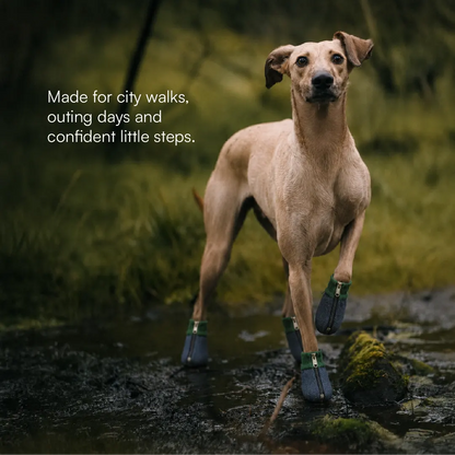 DenimDrip Boots – Warm, Stylish & Secure Paw Protection for Winter