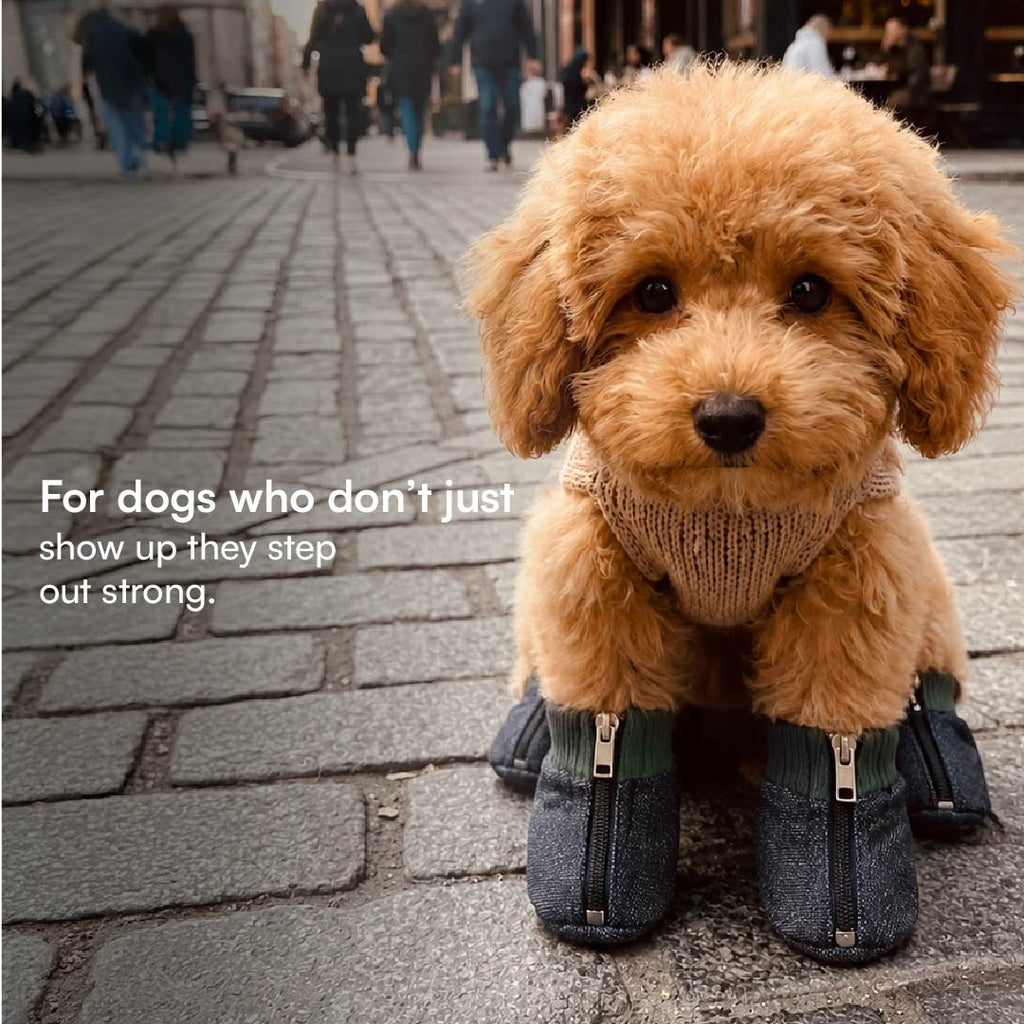 DenimDrip Boots – Warm, Stylish & Secure Paw Protection for Winter
