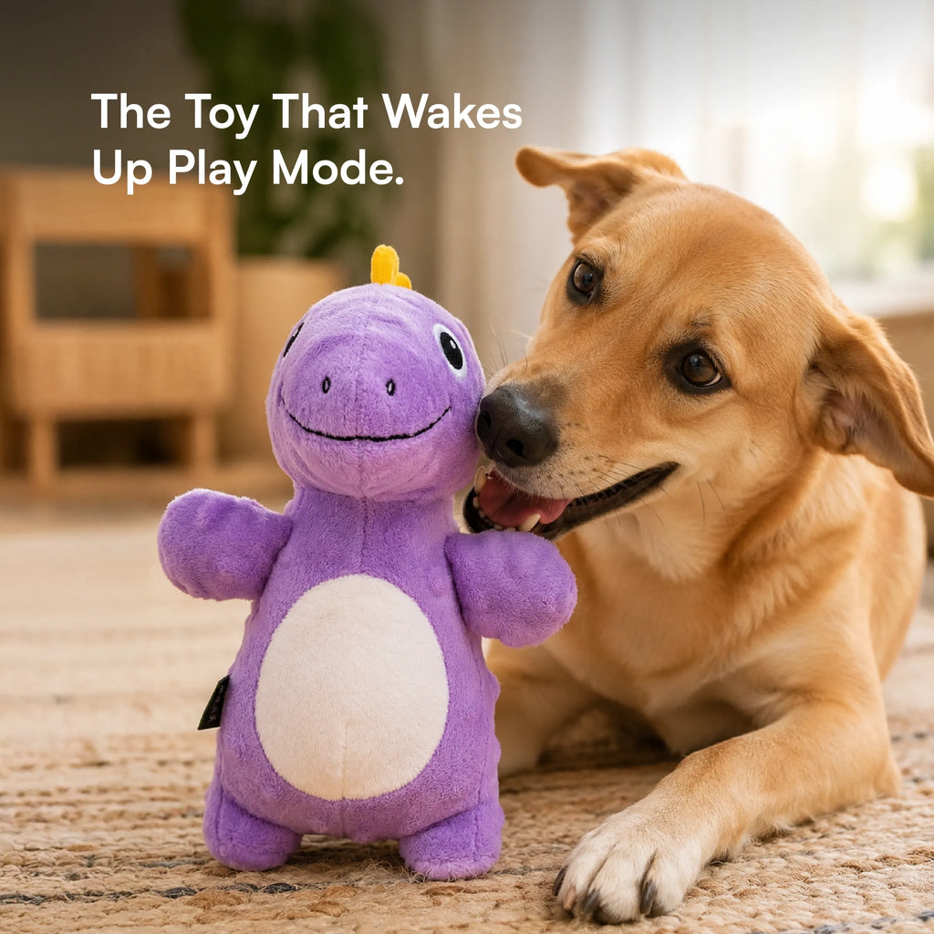 DinoRoar Toy – Dinosaur Plush Squeaky Toy for Pets