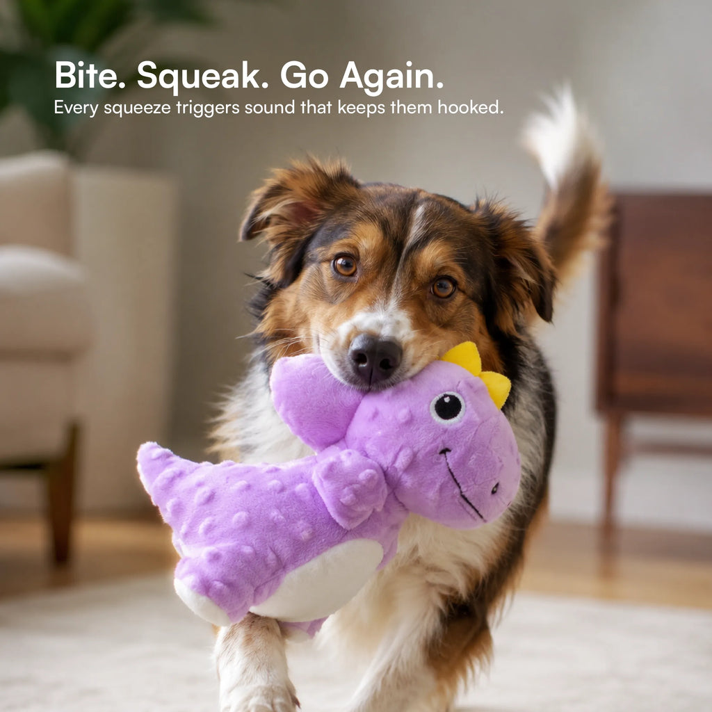 DinoRoar Toy – Dinosaur Plush Squeaky Toy for Pets