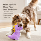 DinoRoar Toy – Dinosaur Plush Squeaky Toy for Pets