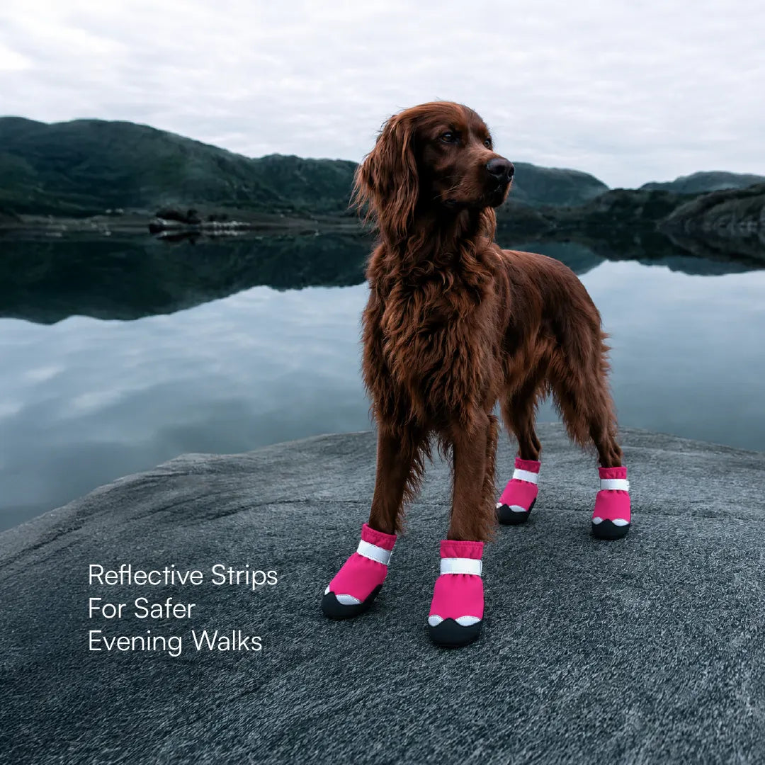 DriftTrail Boots | Waterproof, Non-Slip Dog Boots | Set of 4 | All-Season Paw Protection