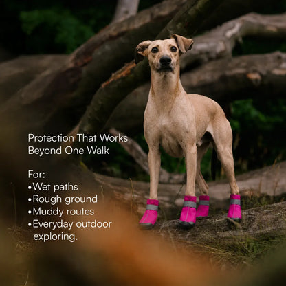 DriftTrail Boots | Waterproof, Non-Slip Dog Boots | Set of 4 | All-Season Paw Protection