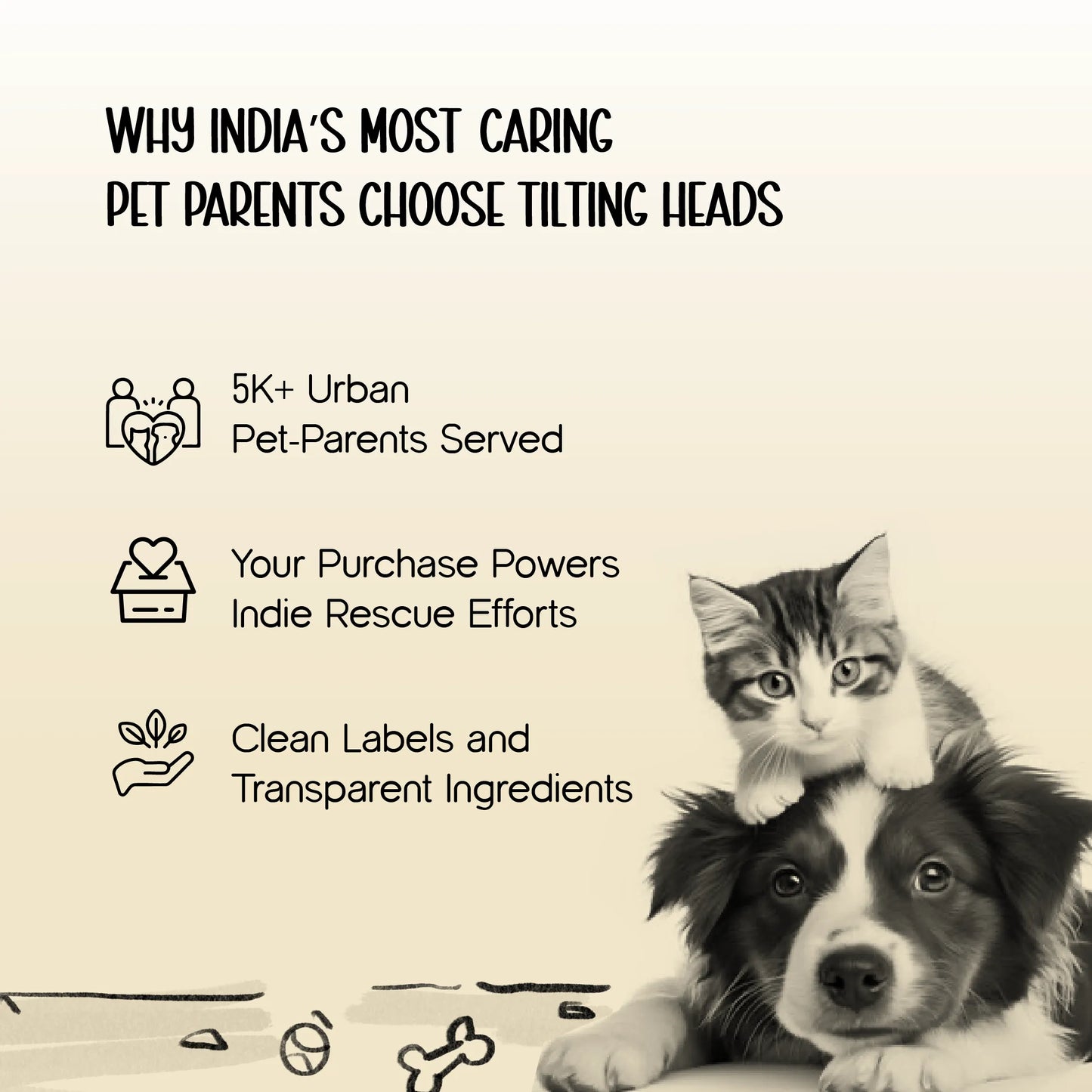 DriftTrail Boots | Waterproof, Non-Slip Dog Boots | Set of 4 | All-Season Paw Protection