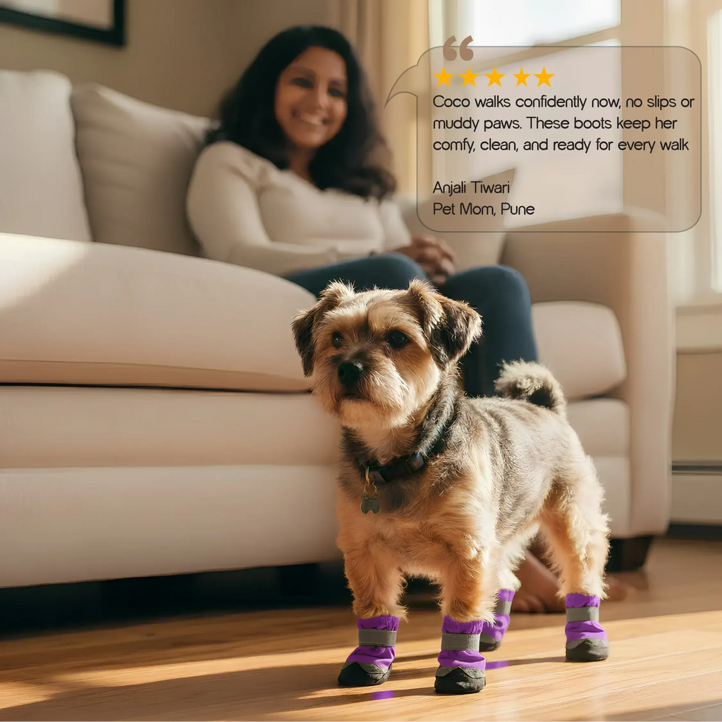 DriftTrail Boots | Waterproof, Non-Slip Dog Boots | Set of 4 | All-Season Paw Protection - Tilting Heads