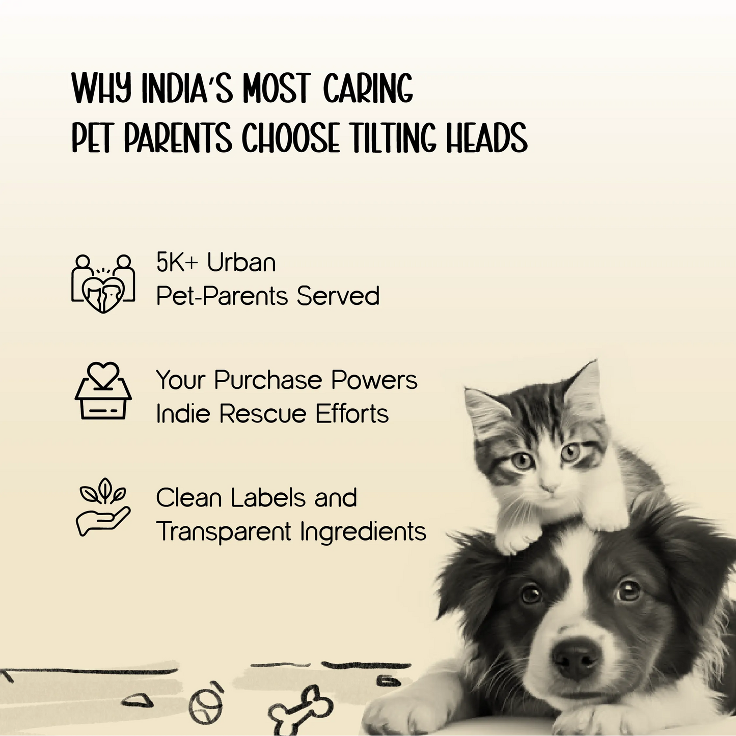 DriftTrail Boots | Waterproof, Non-Slip Dog Boots | Set of 4 | All-Season Paw Protection