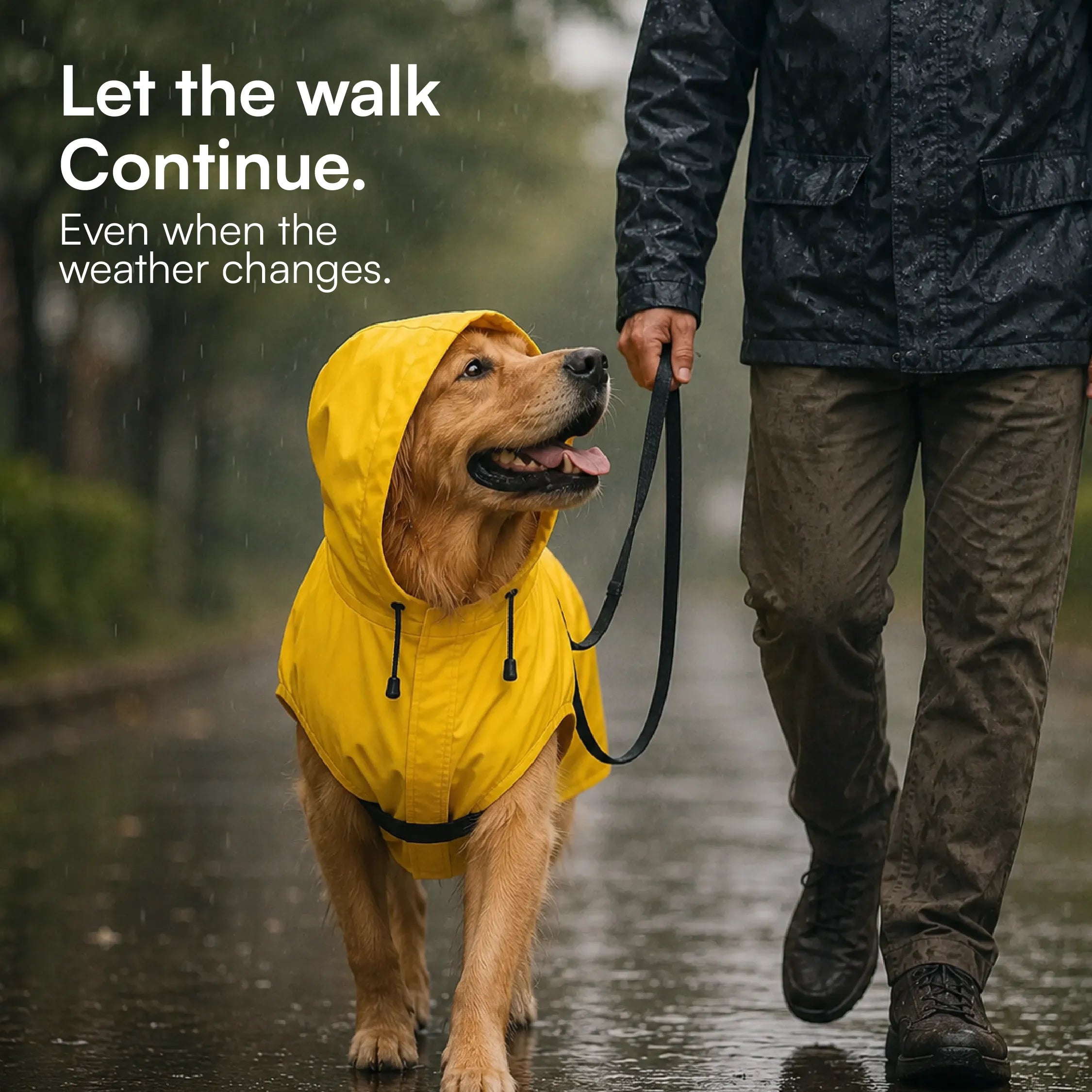 DrizzleCape – Waterproof Dog Raincoat | Fits All Breeds | Comfortable & Weather-Ready