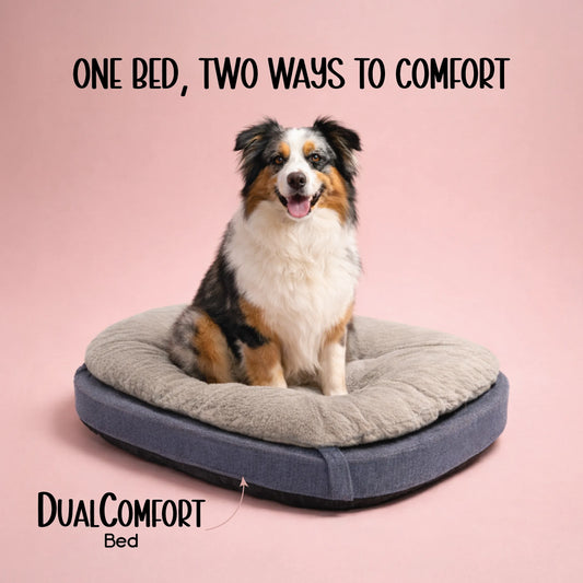 DualComfort Bed – 2-in-1 Plush & Supportive Rest Bed for Small to Medium Pets