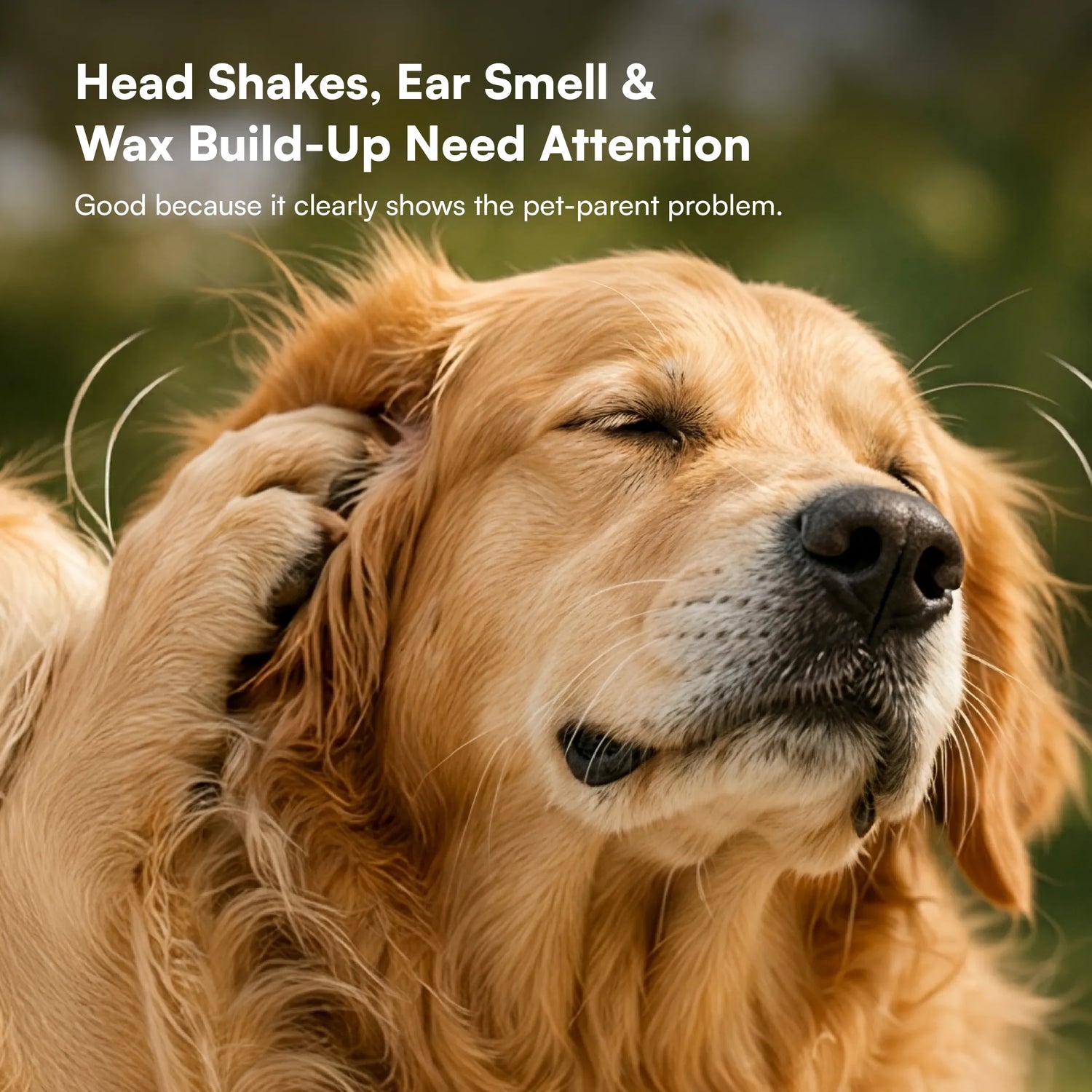 Ear Care Solution – Safe & Gentle Ear Cleaning Solution for Dogs & Cats, Removes Wax, Dirt & Odor, Easy Application - 200ml