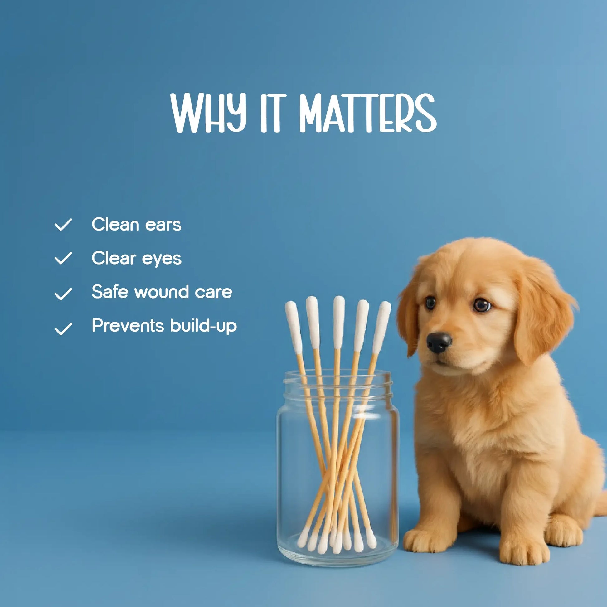 EarEase Pet Swabs – Gentle Cleaning for Pets’ Ears, Eyes & More - Tilting Heads