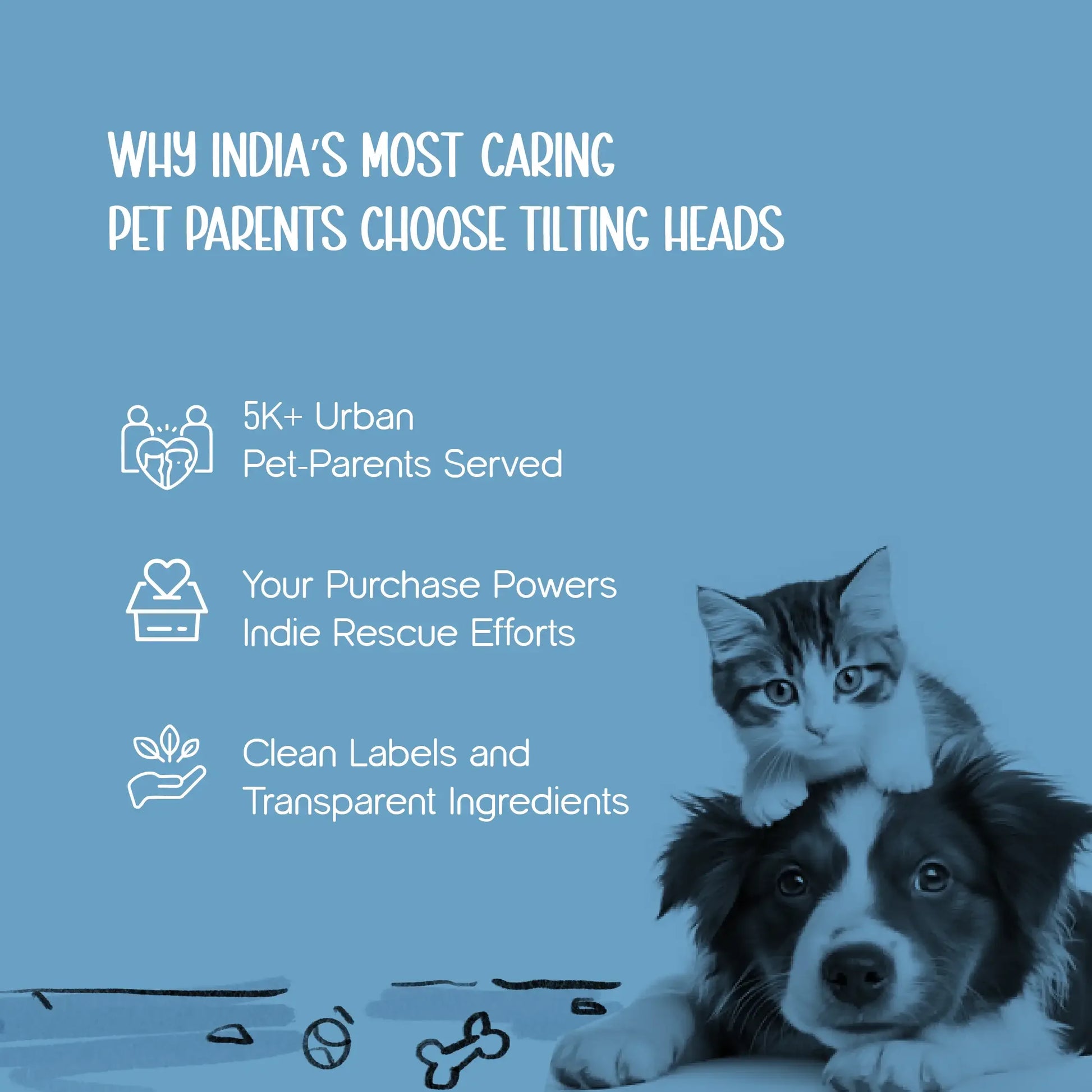 EarEase Pet Swabs – Gentle Cleaning for Pets’ Ears, Eyes & More - Tilting Heads