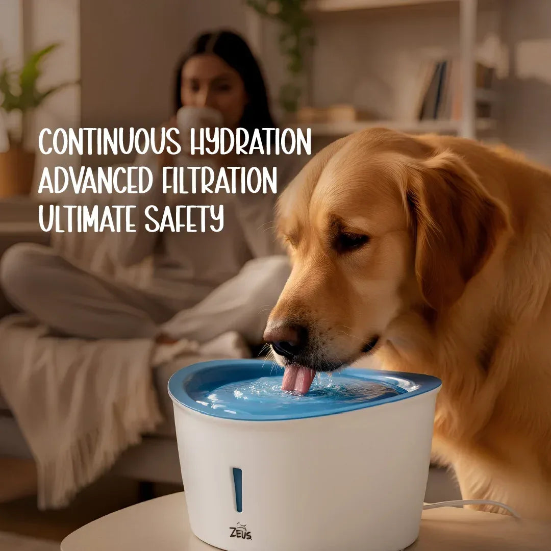 FlowMate Fountain – Fresh Water, Happy Pets - Tilting Heads