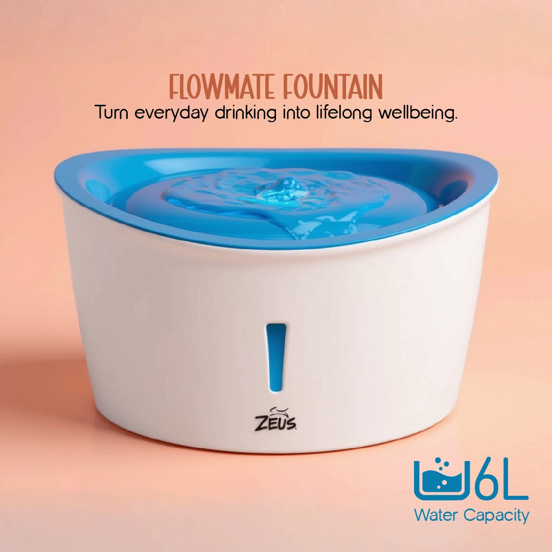 FlowMate Fountain – Fresh Water, Happy Pets