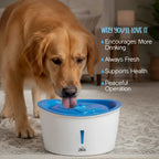 FlowMate Fountain – Fresh Water, Happy Pets - Tilting Heads