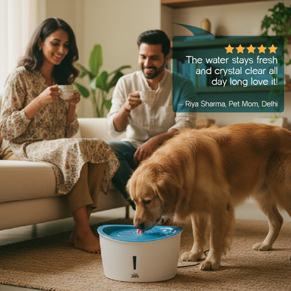 FlowMate Fountain – Fresh Water, Happy Pets