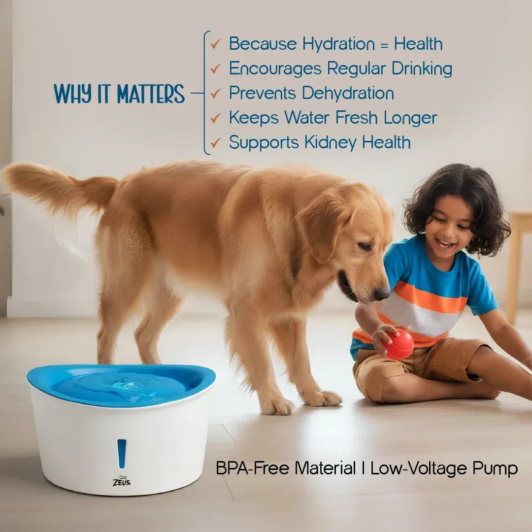 FlowMate Fountain – Fresh Water, Happy Pets - Tilting Heads