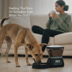 FeedSync Pro | Smart Automatic Pet Feeder | Precise, Reliable & Stress-Free Mealtime Control