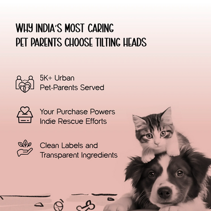 FeedSync Pro | Smart Automatic Pet Feeder | Precise, Reliable & Stress-Free Mealtime Control - Tilting Heads
