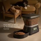 FeedSync Pro | Smart Automatic Pet Feeder | Precise, Reliable & Stress-Free Mealtime Control