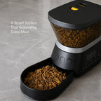 FeedSync Pro | Smart Automatic Pet Feeder | Precise, Reliable & Stress-Free Mealtime Control