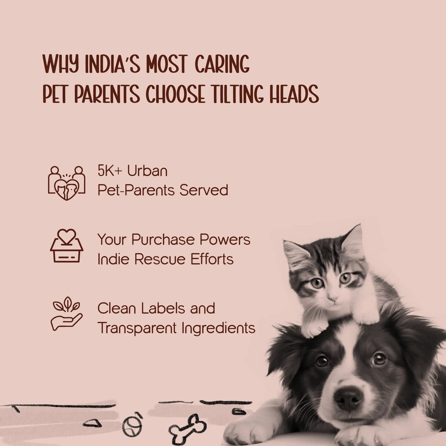 FelineBeam – Smart Touch-Activated Laser Toy for Active Indoor Cats