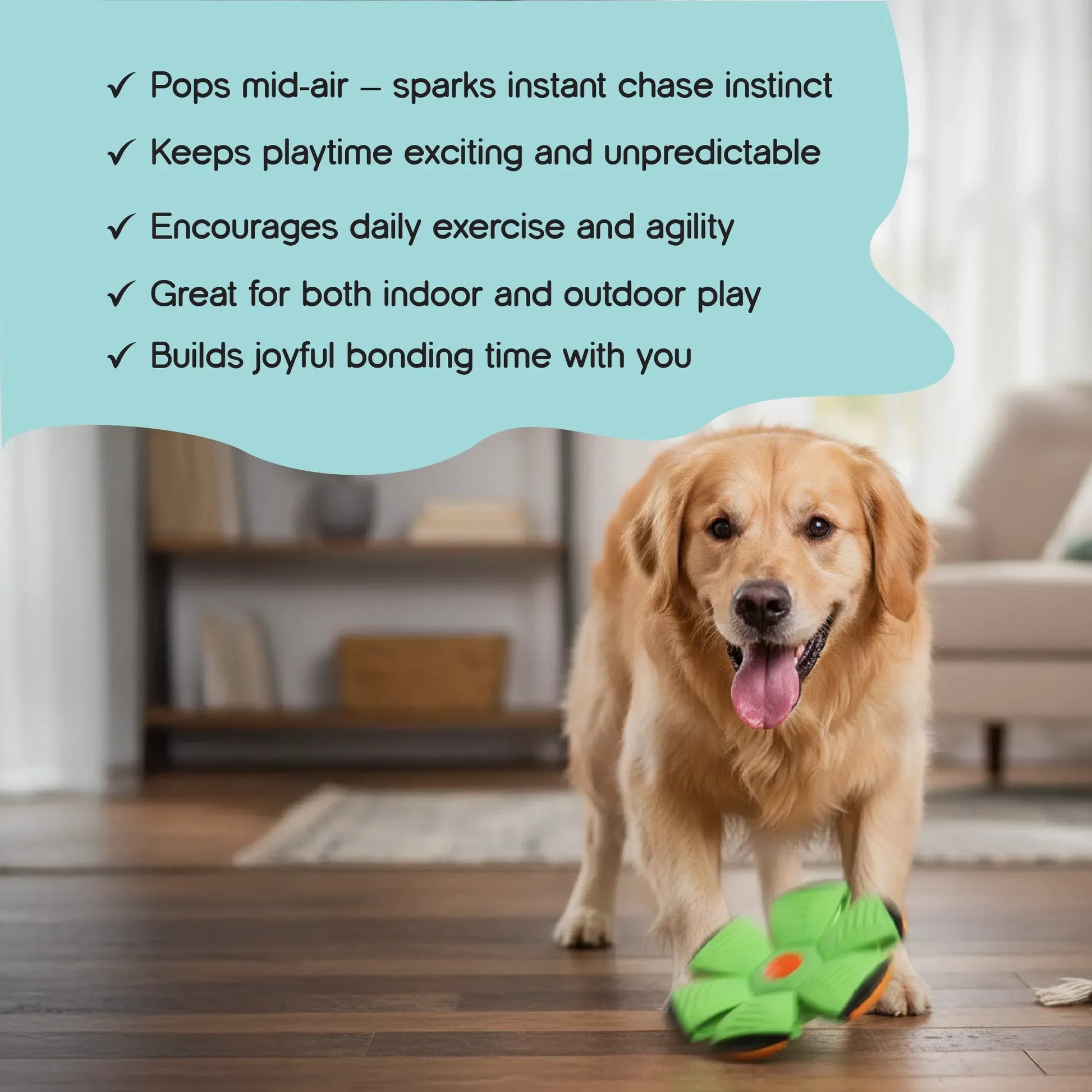 FetchNova UFO Ball | Bounce-Spin Toy | Smart Play for Active Dogs - Tilting Heads