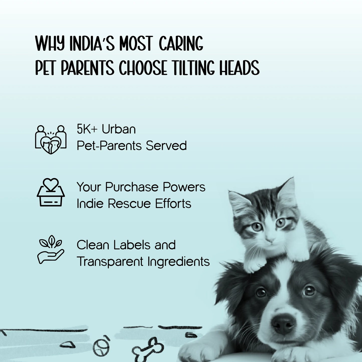 AeroShell Backpack – Protective Pet Travel Carrier with Comfort Fit