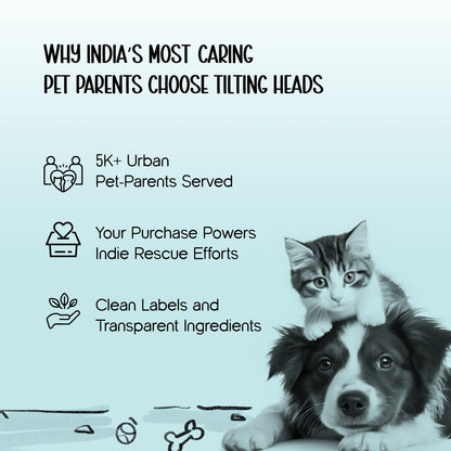 AeroShell Backpack – Protective Pet Travel Carrier with Comfort Fit