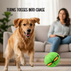 FetchNova UFO Ball | Bounce-Spin Toy | Smart Play for Active Dogs