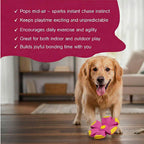 FetchNova UFO Ball | Bounce-Spin Toy | Smart Play for Active Dogs