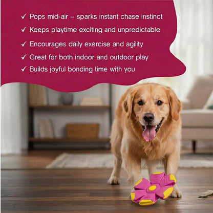 FetchNova UFO Ball | Bounce-Spin Toy | Smart Play for Active Dogs