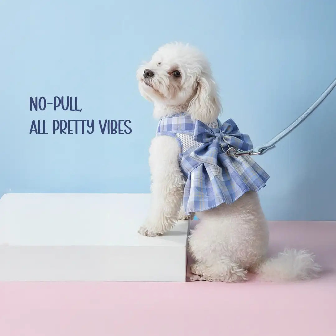 FlarePlaid Harness for Cats & Dogs | No-Pull, Breathable & Secure Comfort with a Stylish Plaid Design