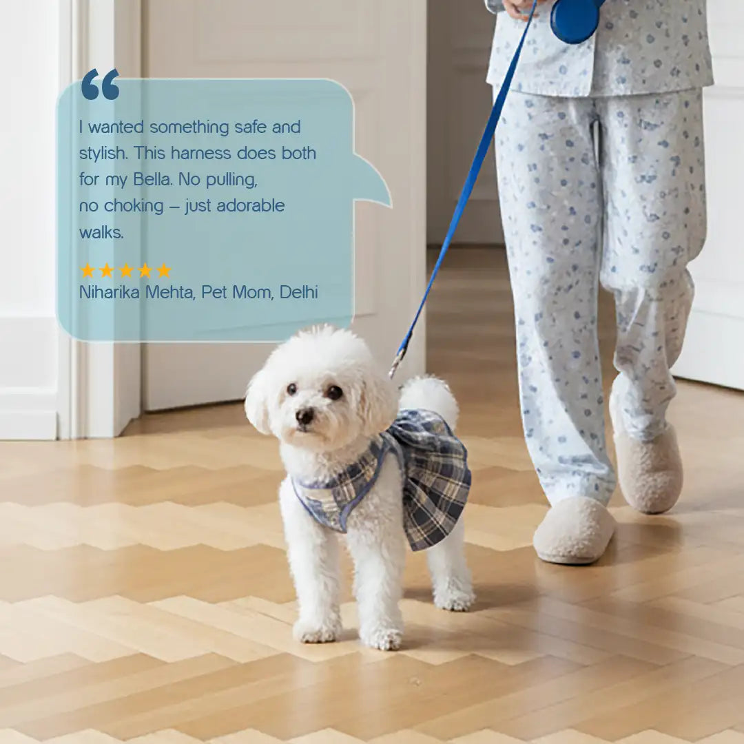 FlarePlaid Harness for Cats & Dogs | No-Pull, Breathable & Secure Comfort with a Stylish Plaid Design