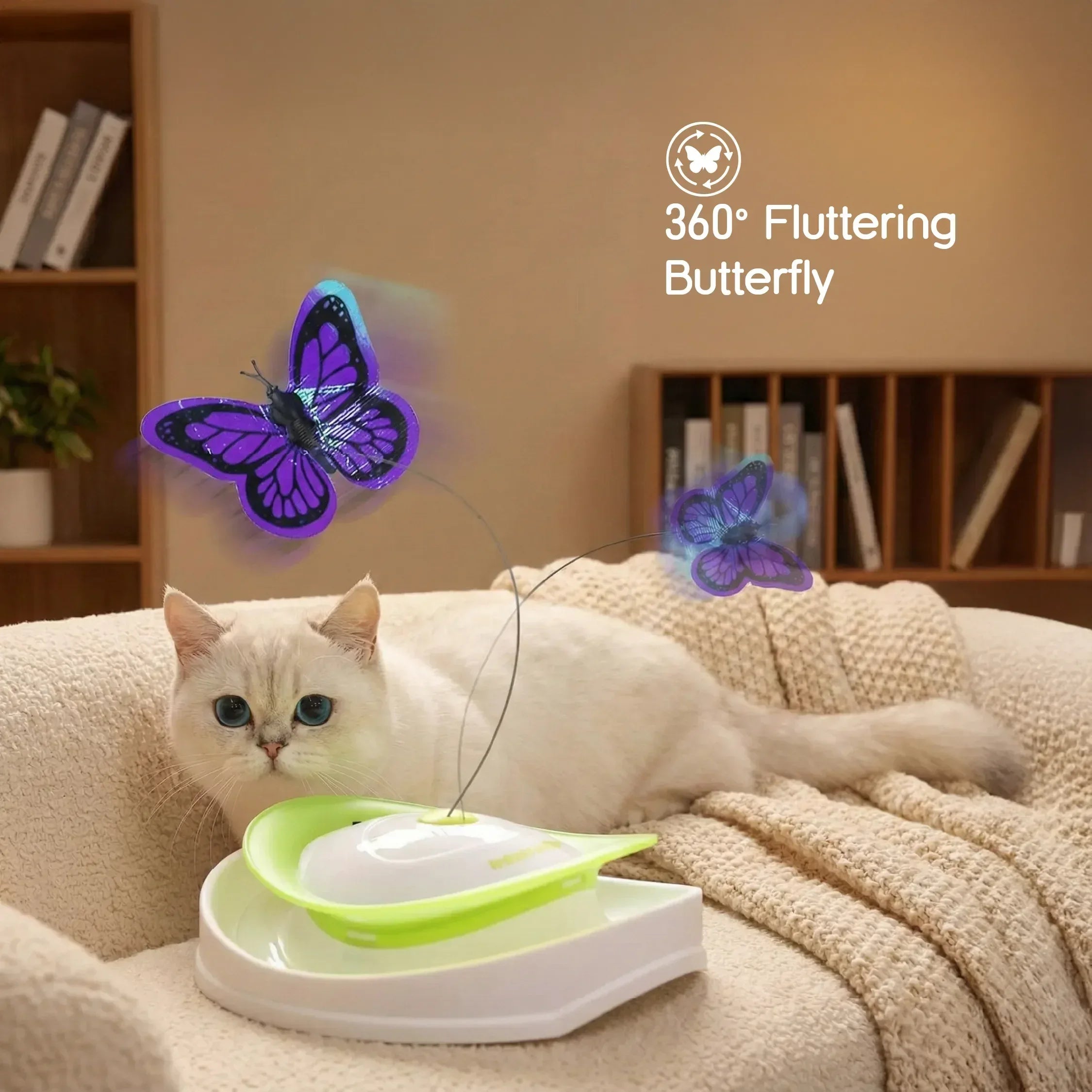 FlutterPlay Toy | Interactive Cat Toy | Boredom-Breaking Indoor Play - Tilting Heads