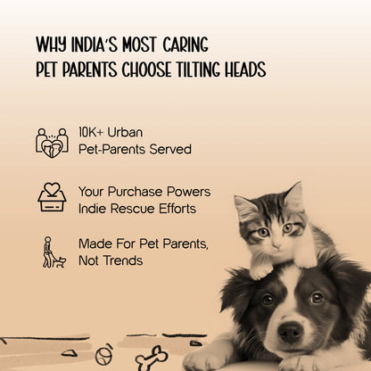 FlutterPlay Toy | Interactive Cat Toy | Boredom-Breaking Indoor Play