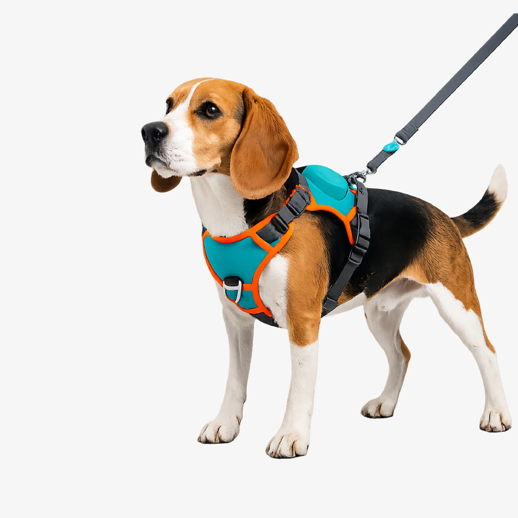 FusionGrip Harness