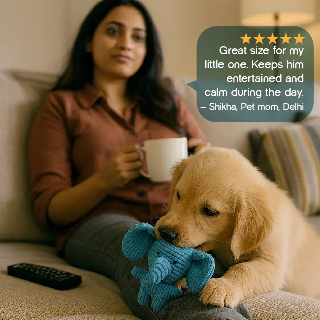 GroveElephant Plush Toy – Double Squeaks, Endless Fun & Stress-Free Play! - Tilting Heads
