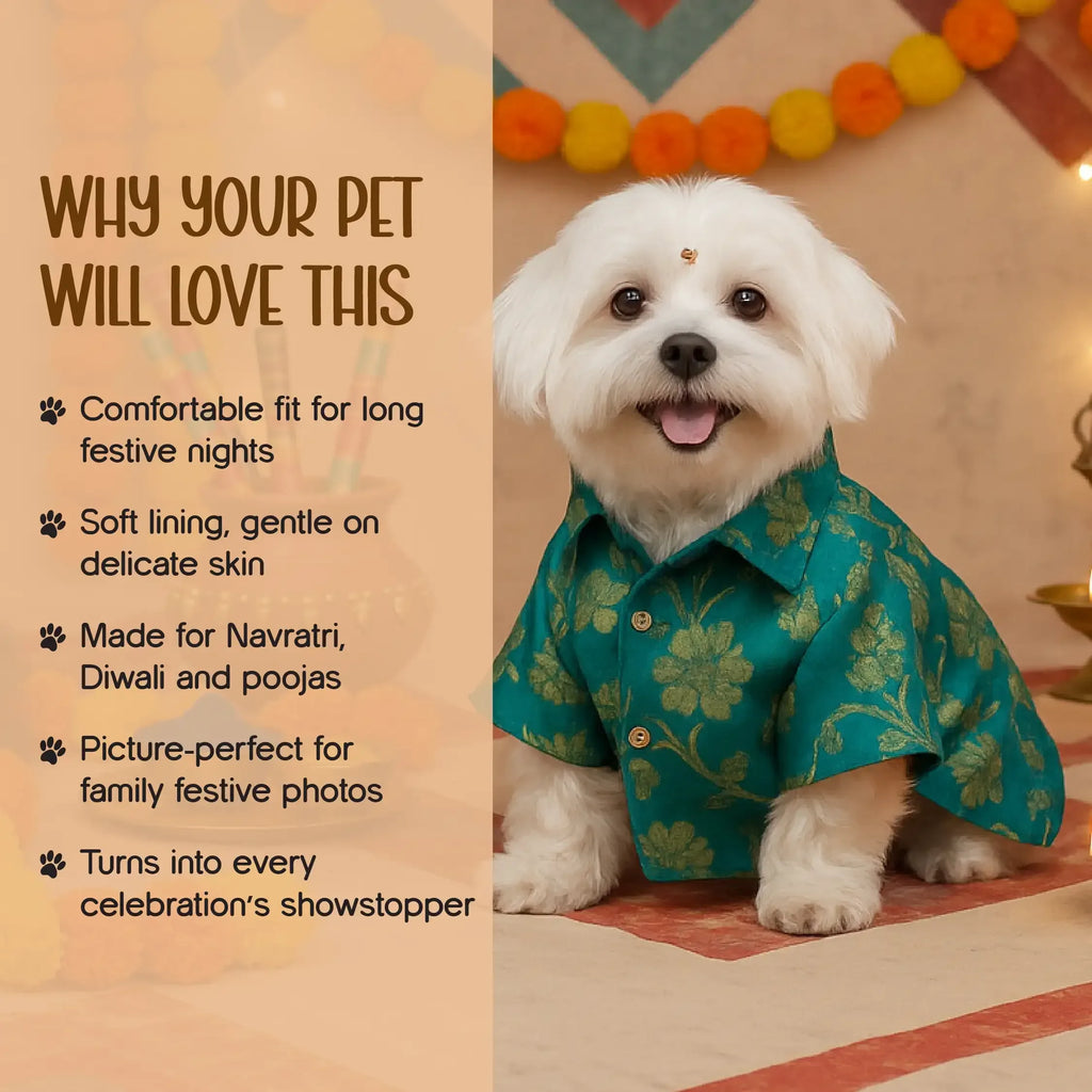 GarbaGlow Kurta – Festive Flair & Comfortable Fit | Easy Velcro Closure - Tilting Heads