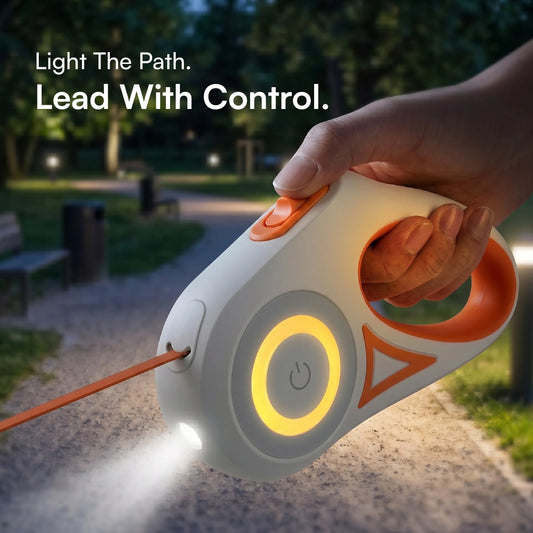 GlowTrack Leash | LED Light & One-Key Control