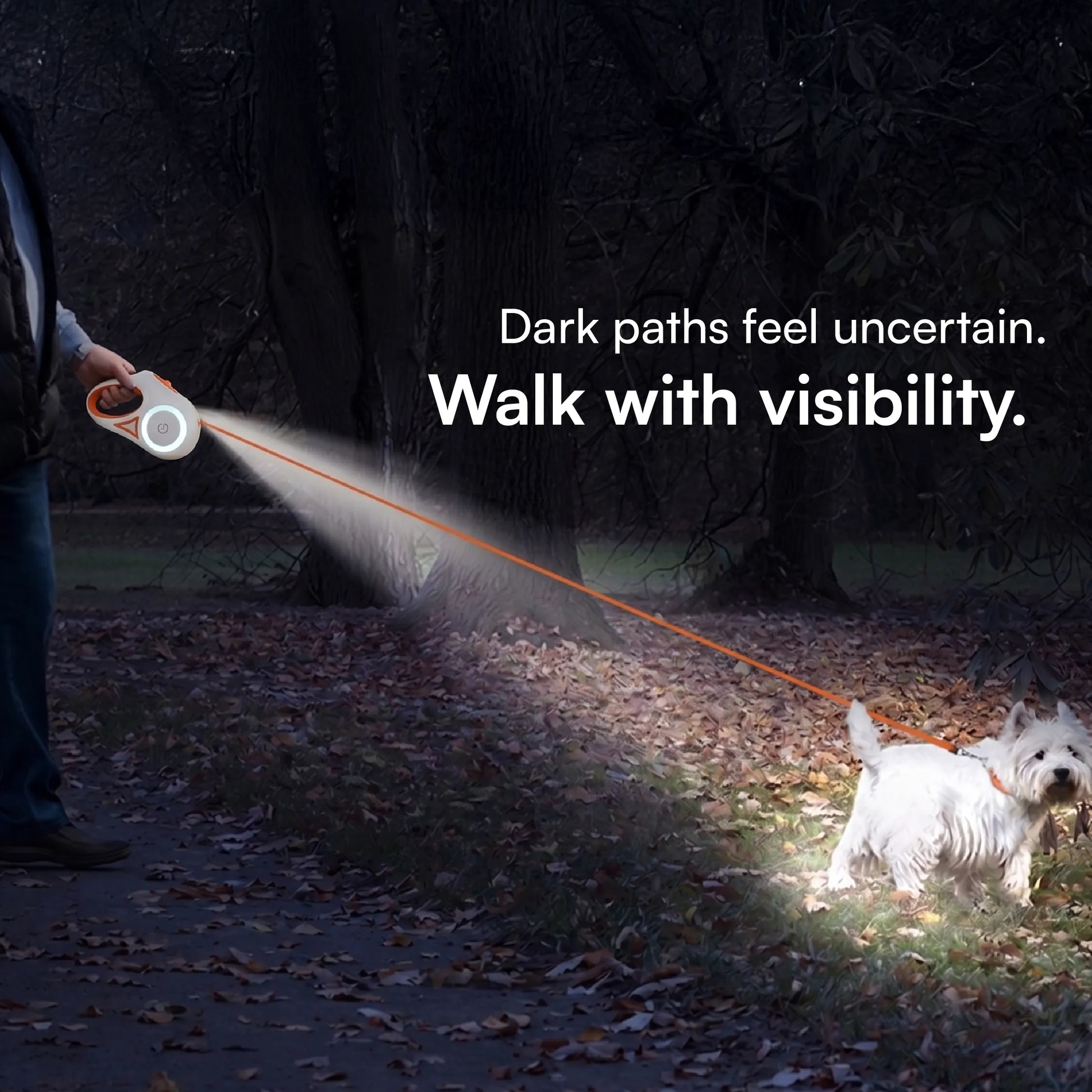 GlowTrack Leash by Tilting Heads