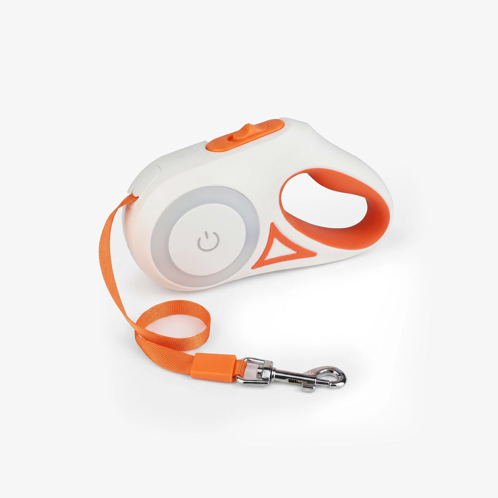 GlowTrack Leash