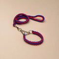GripBraid Leash Set – Braided Collar & Leash For Strong Walk Control