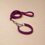 GripBraid Leash Set – Braided Collar & Leash For Strong Walk Control