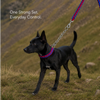 GripBraid Leash Set – Braided Collar & Leash For Strong Walk Control