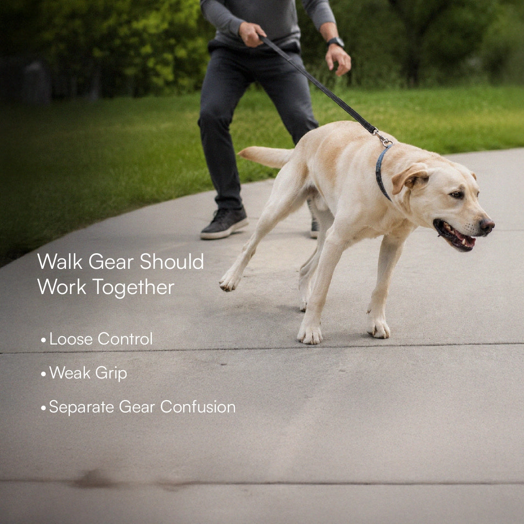 GripBraid Leash Set – Braided Collar & Leash For Strong Walk Control