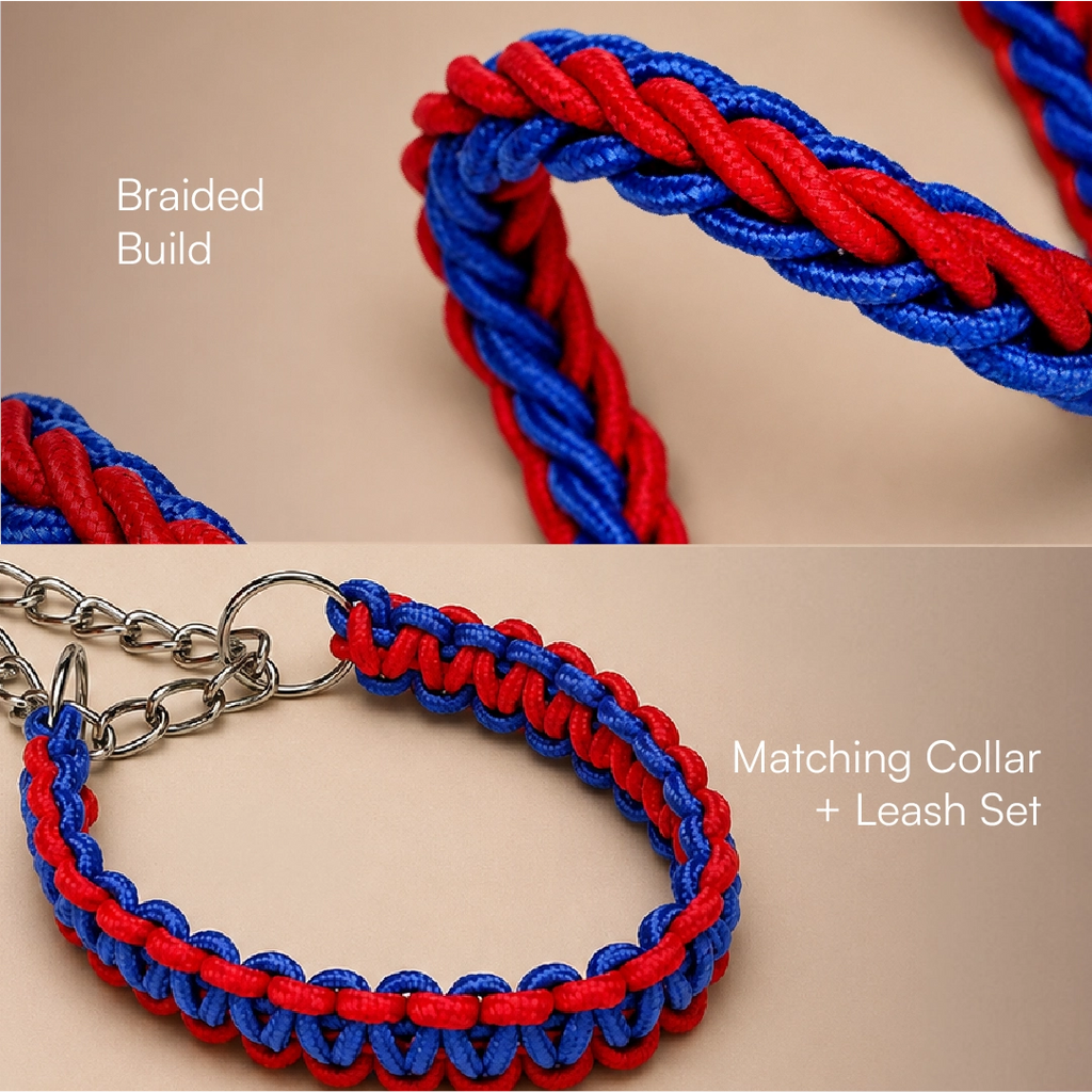 GripBraid Leash Set – Braided Collar & Leash For Strong Walk Control