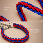 GripBraid Leash Set – Braided Collar & Leash For Strong Walk Control